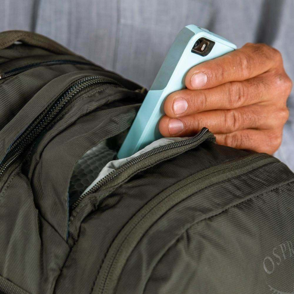 Osprey nebula nori green top